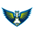 Dallas Wings logo